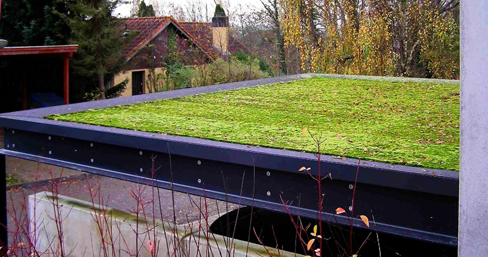  CARPORT MIT MOOSMATTE HARDERSLEV